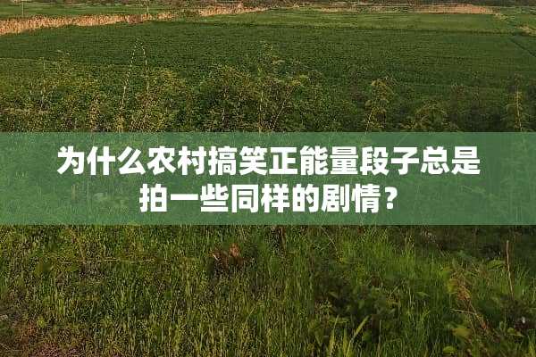 为什么农村搞笑正能量段子总是拍一些同样的剧情？