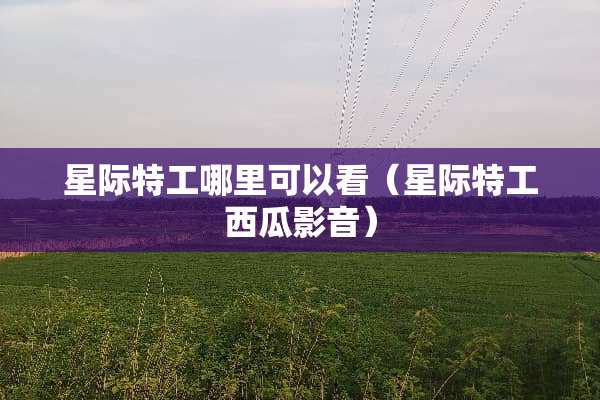 星际特工哪里可以看（星际特工西瓜影音）