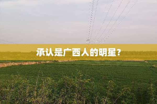 承认是广西人的明星？