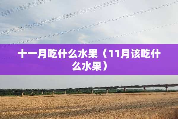 十一月吃什么水果（11月该吃什么水果）
