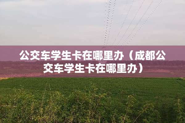 公交车学生卡在哪里办（成都公交车学生卡在哪里办）