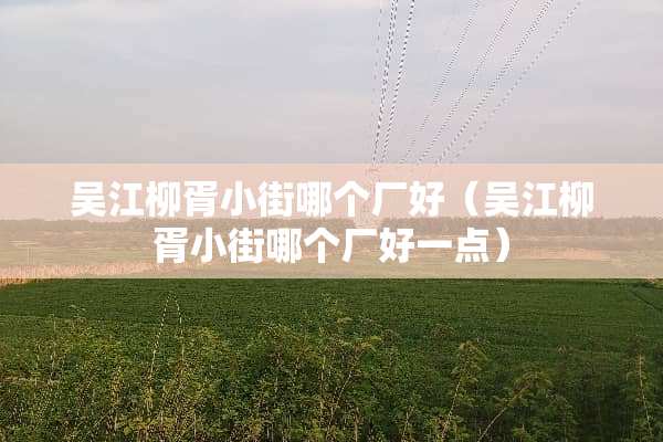吴江柳胥小街哪个厂好（吴江柳胥小街哪个厂好一点）