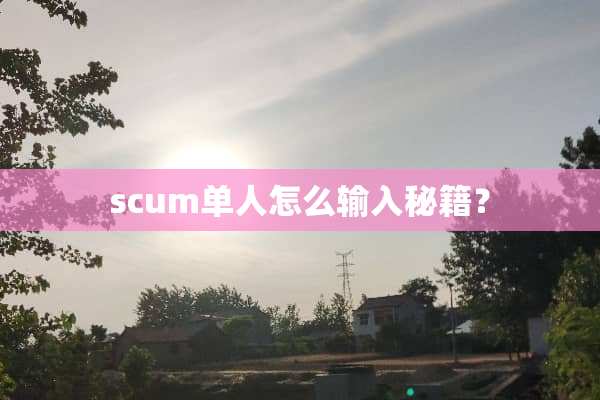 scum单人怎么输入秘籍？