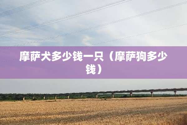 摩萨犬多少钱一只（摩萨狗多少钱）