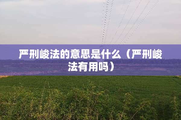 严刑峻法的意思是什么（严刑峻法有用吗）