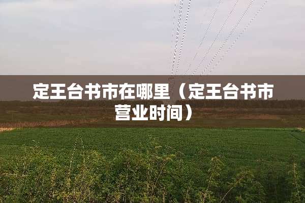 定王台书市在哪里（定王台书市营业时间）