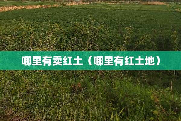 哪里有卖红土（哪里有红土地）