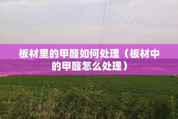 板材里的甲醛如何处理（板材中的甲醛怎么处理）