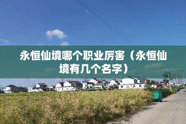永恒仙境哪个职业厉害（永恒仙境有几个名字）