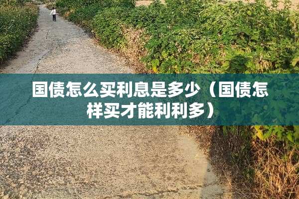 国债怎么买利息是多少（国债怎样买才能利利多）