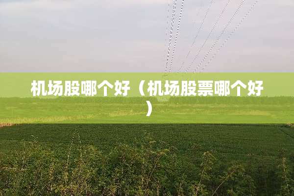 机场股哪个好（机场股票哪个好）