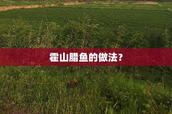 霍山腊鱼的做法？