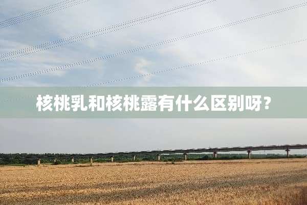 核桃*和核桃露有什么区别呀？