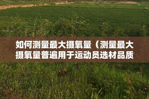 如何测量最大摄氧量（测量最大摄氧量普遍用于运动员选材品质评价等方面）
