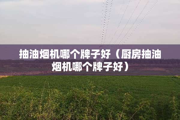 抽油烟机哪个牌子好（厨房抽油烟机哪个牌子好）
