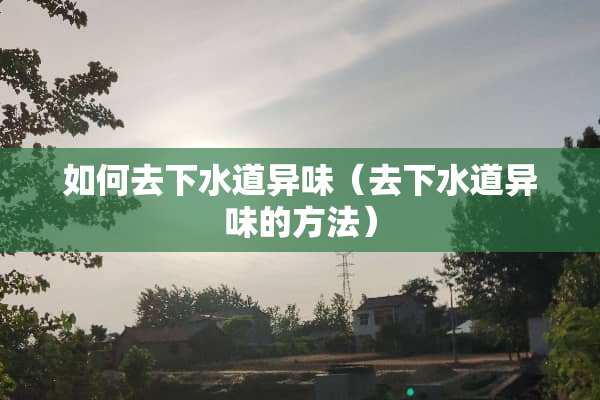 如何去下水道异味（去下水道异味的方法）