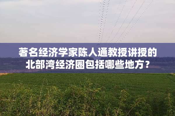 著名经济学家陈人通教授讲授的北部湾经济圈包括哪些地方？