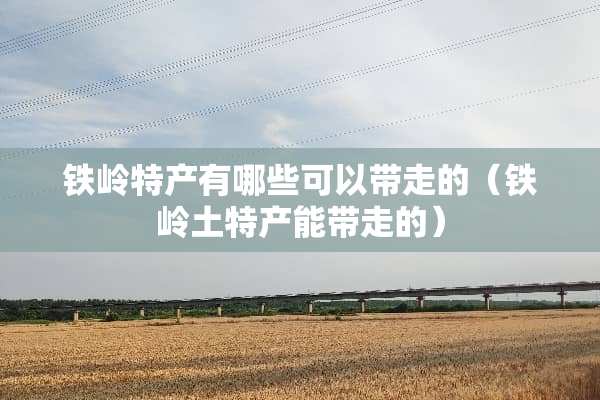 铁岭特产有哪些可以带走的（铁岭土特产能带走的）