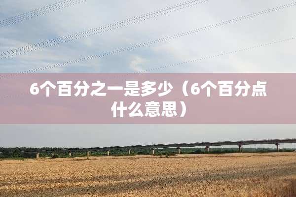 6个百分之一是多少（6个百分点什么意思）