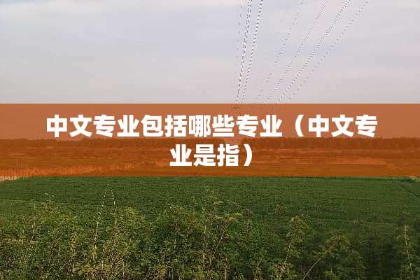 中文专业包括哪些专业（中文专业是指）
