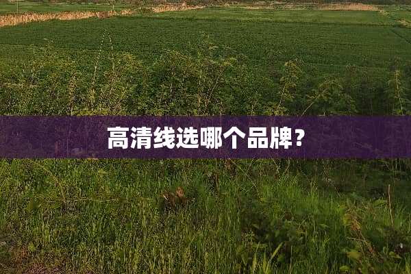 高清线选哪个品牌？