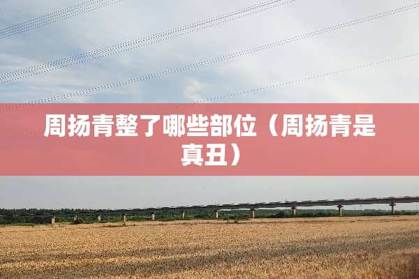 周扬青整了哪些部位（周扬青是真丑）