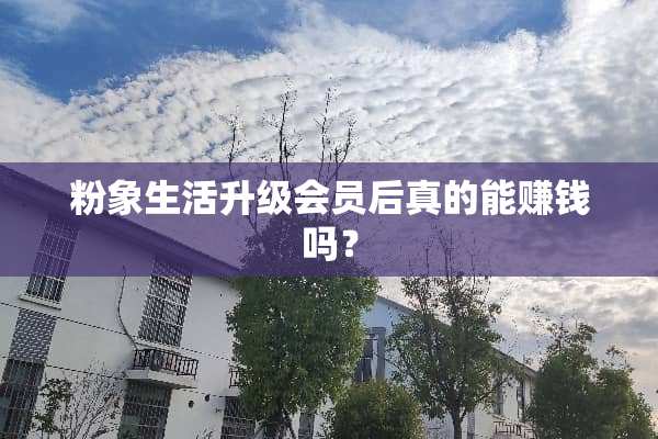 粉象生活升级会员后真的能赚钱吗？