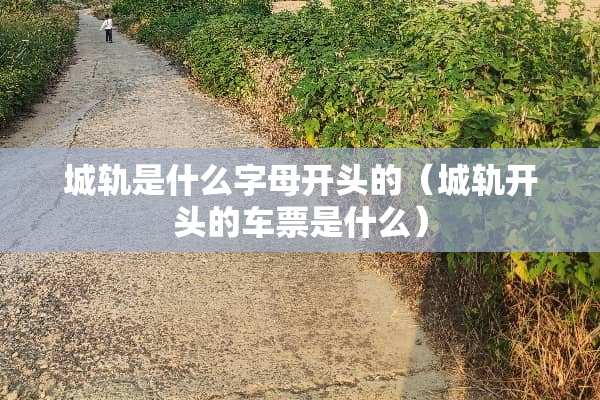 城轨是什么字母开头的（城轨开头的车票是什么）