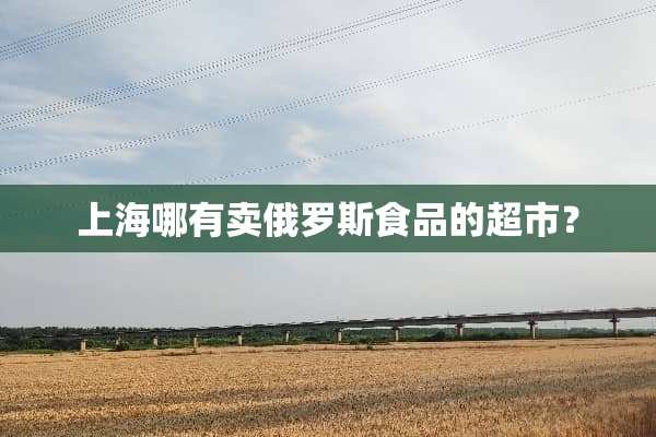 上海哪有卖俄罗斯食品的超市？