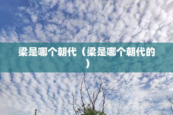 梁是哪个朝代（梁是哪个朝代的）