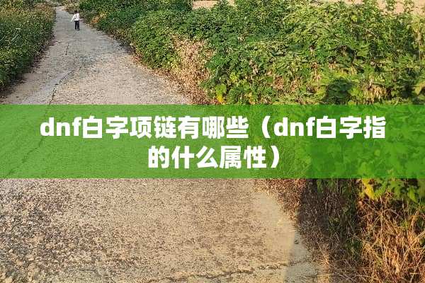 dnf白字项链有哪些（dnf白字指的什么属性）
