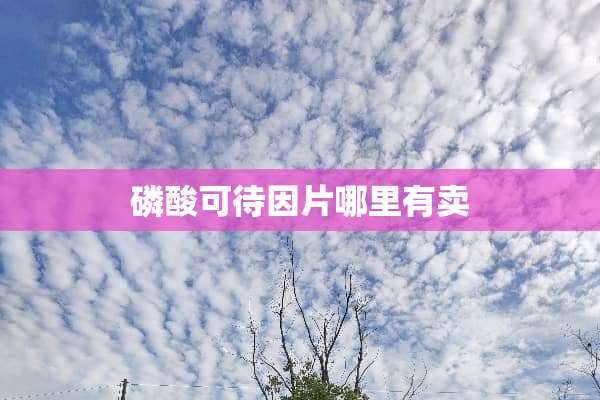 磷酸可待因片哪里有卖