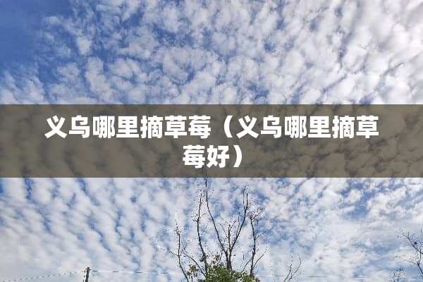 义乌哪里摘草莓（义乌哪里摘草莓好）