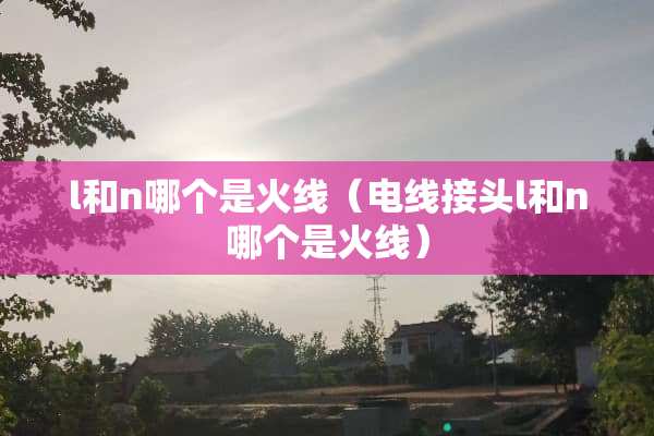 l和n哪个是火线（电线接头l和n哪个是火线）