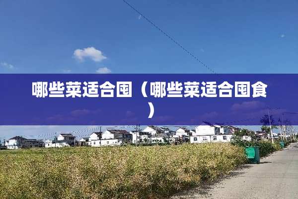 哪些菜适合囤（哪些菜适合囤食）