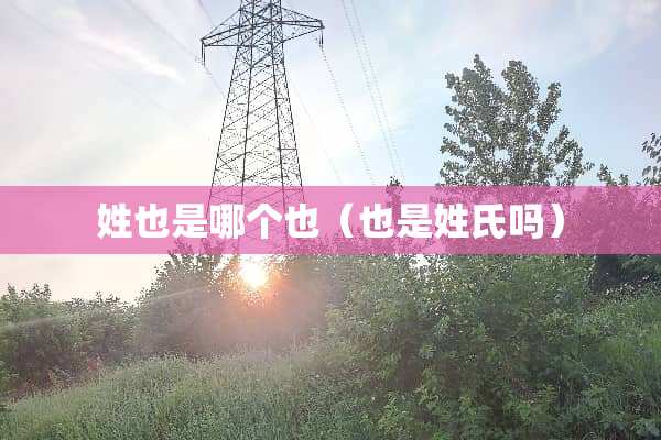姓也是哪个也（也是姓氏吗）