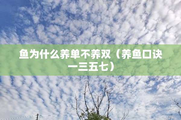 鱼为什么养单不养双（养鱼口诀一三五七）