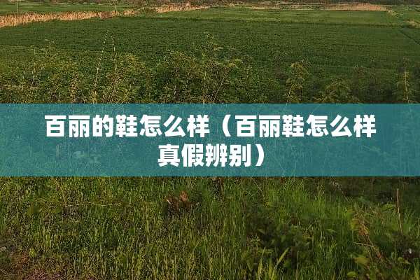 百丽的鞋怎么样（百丽鞋怎么样真假辨别）