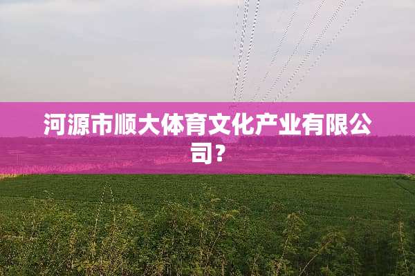 河源市顺大体育文化产业有限公司？