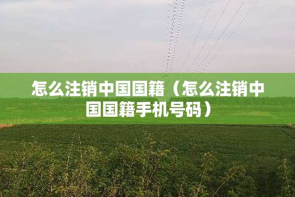 怎么注销中国国籍（怎么注销中国国籍手机号码）