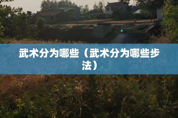 武术分为哪些（武术分为哪些步法）