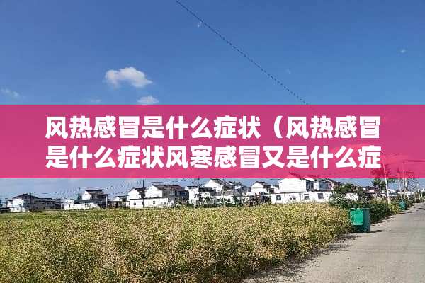 风热感冒是什么症状（风热感冒是什么症状风寒感冒又是什么症状）
