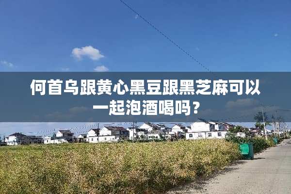 何首乌跟黄心黑豆跟黑芝麻可以一起泡酒喝吗？