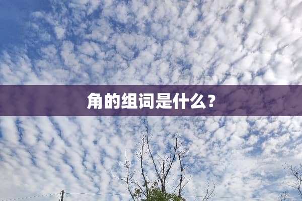 角的组词是什么？