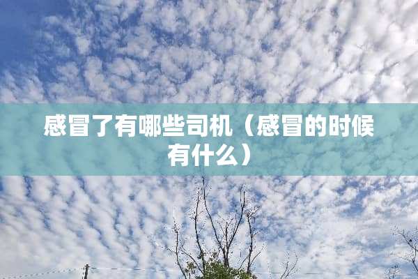 感冒了有哪些司机（感冒的时候有什么）