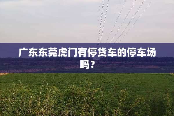 广东东莞虎门有停货车的停车场吗？