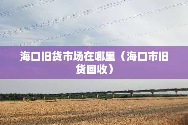 海口旧货市场在哪里（海口市旧货回收）