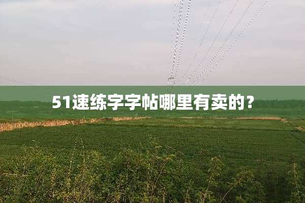 51速练字字帖哪里有卖的？