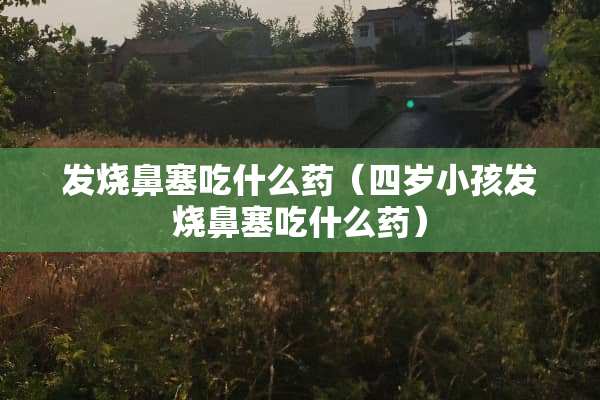 发烧鼻塞吃什么药（四岁小孩发烧鼻塞吃什么药）