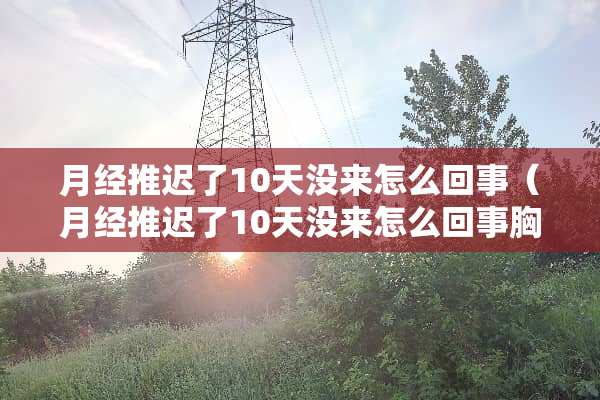 月经推迟了10天没来怎么回事（月经推迟了10天没来怎么回事胸疼）